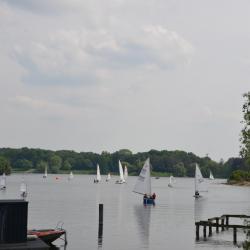 Mairegatta2026 20