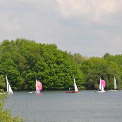 Mairegatta2026 26
