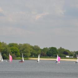 Mairegatta2026 27