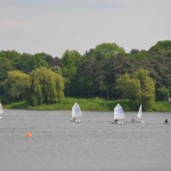 Mairegatta2026 28