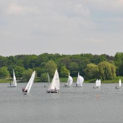 Mairegatta2026 29
