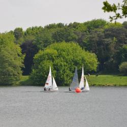 Mairegatta2026 32