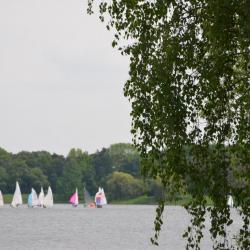 Mairegatta2026 33